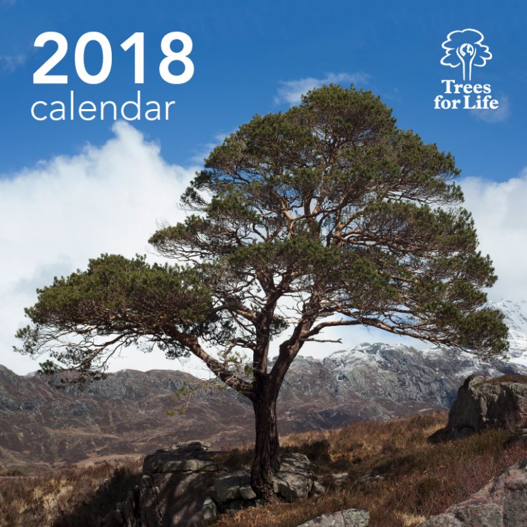 Trees For Life Calendar 2025 Uk 