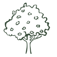 > Create a grove for your business