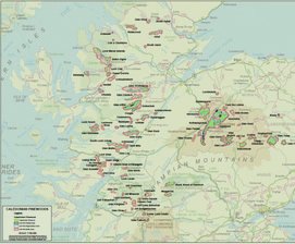 The Caledonian Forest | Trees for Life