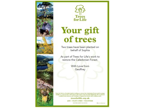 Trees for Life shop