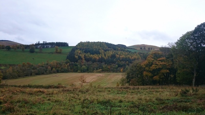 DSC_0854.JPG