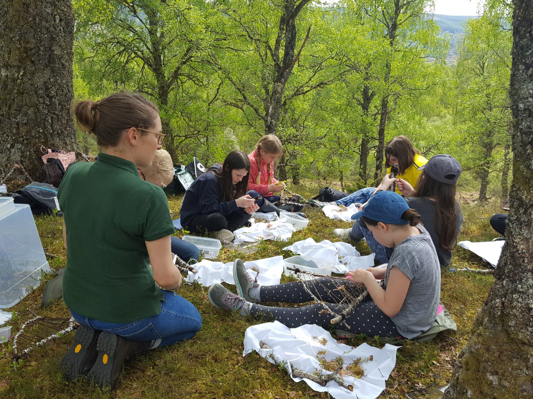 Kilchuimen Primary pupils digin to nature Trees for Life