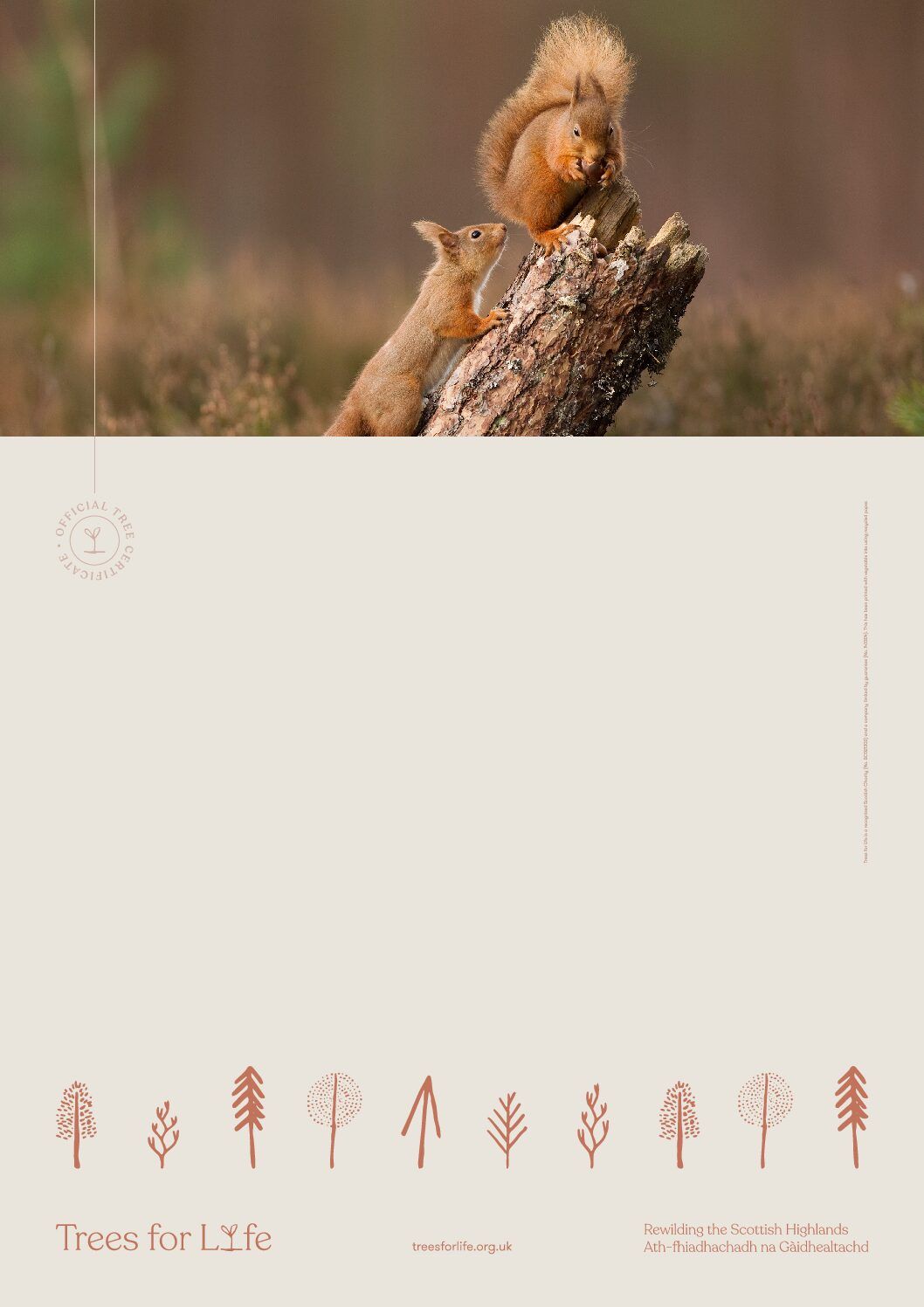 red_squirrels-pdf