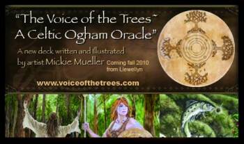Voice of the Trees: A Celtic Ogham Oracle Deck grove