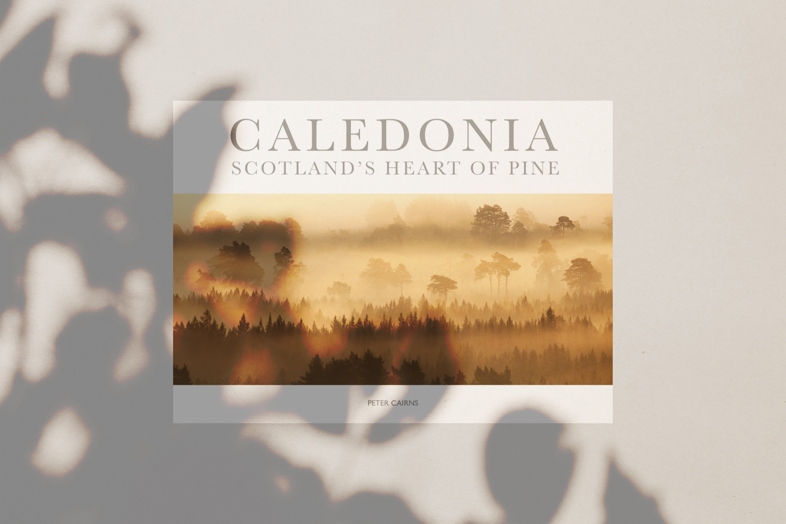 Caledonia Scotland's Heart of Pine Trees for Life e-book