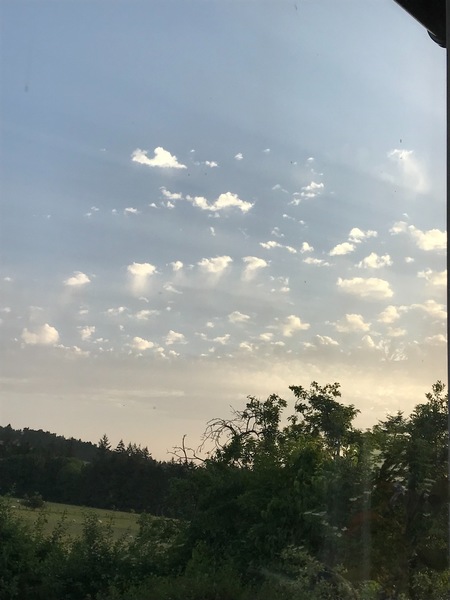 F75602CA-713F-4808-81AB-F5E3990A30B4.jpeg