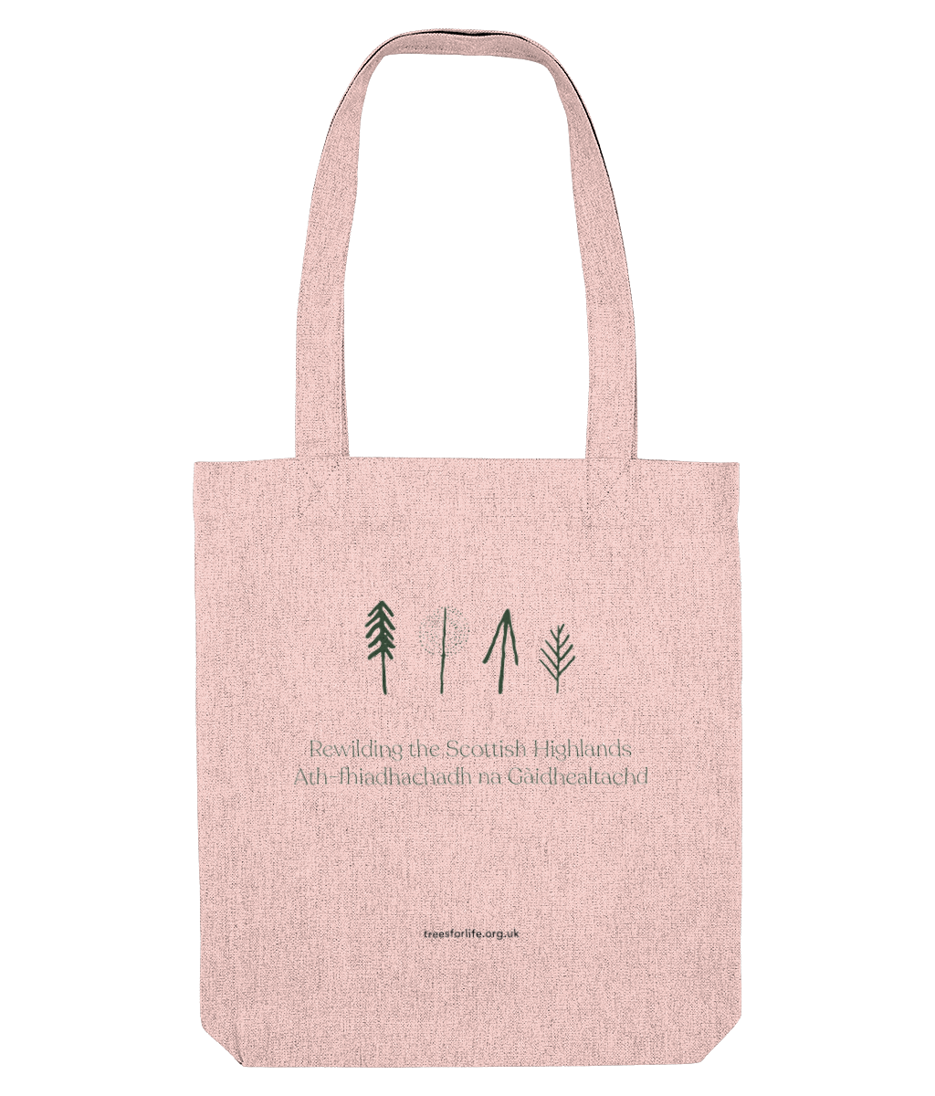 mockup-4.png
