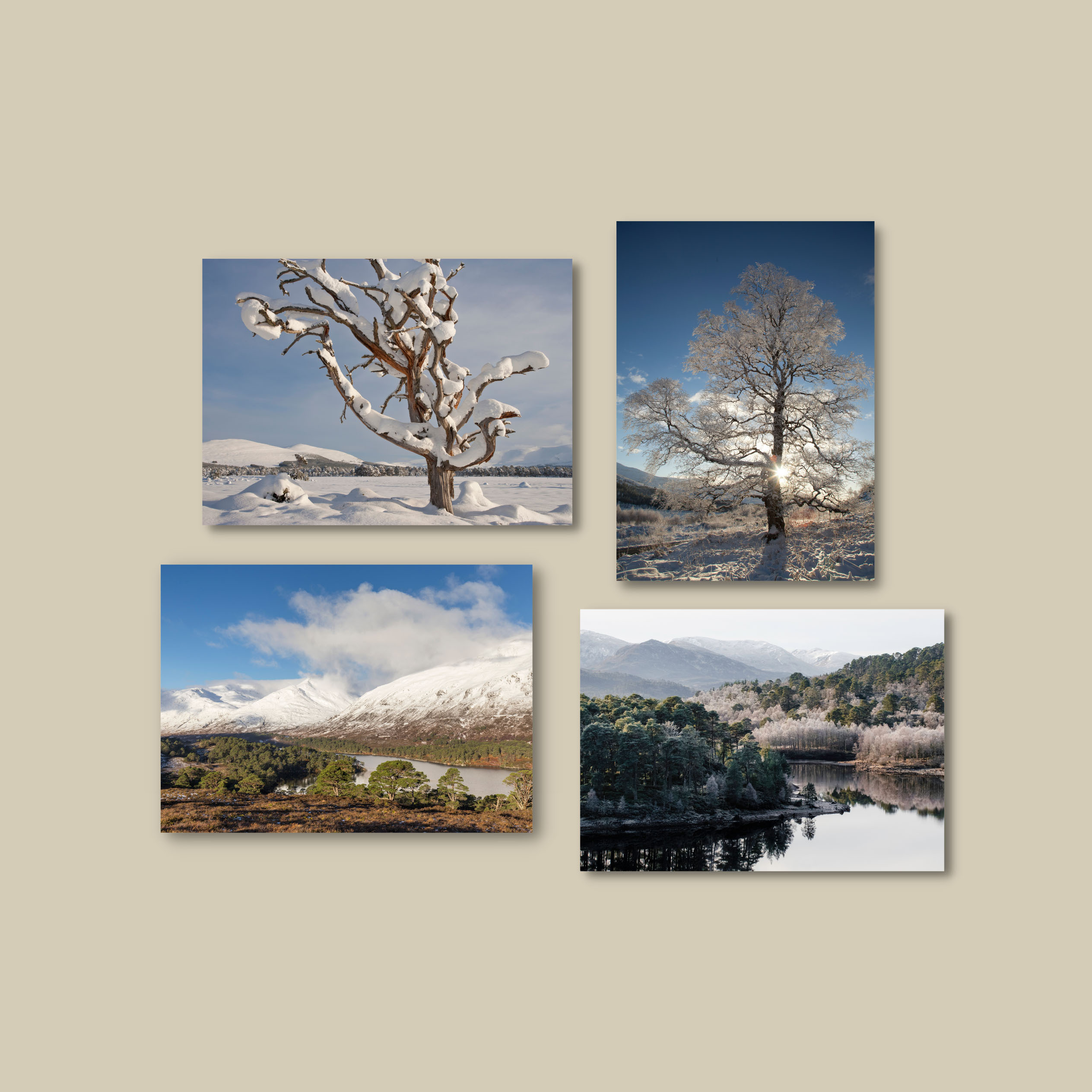 NEW Landscape greetings cards