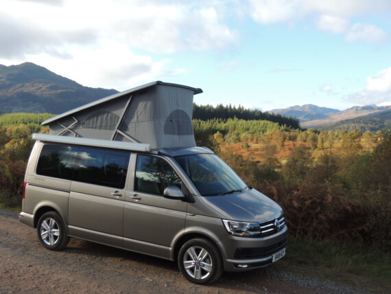 Four Seasons Campers VW Campervan Hire - Trees for Life