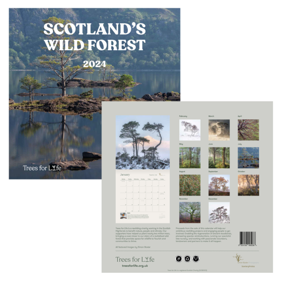 2024 Scotland's Wild Forest Calendar HALF PRICE Trees for Life