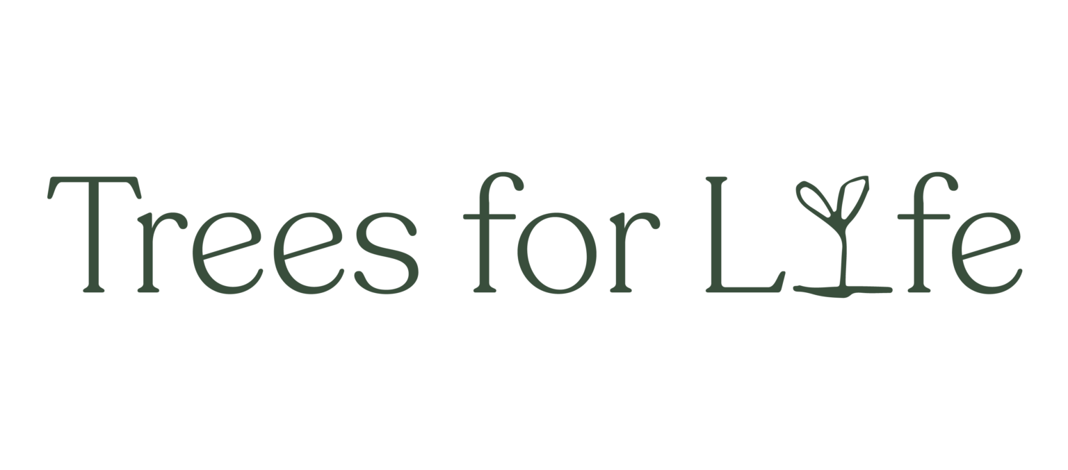 Trees For Life Calendar 2025 Uk 