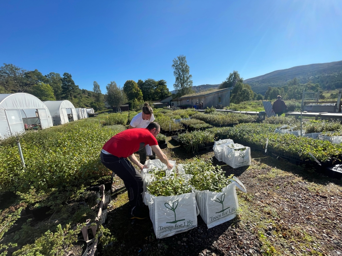 Photo of people at Dundreggan Tree Nursery