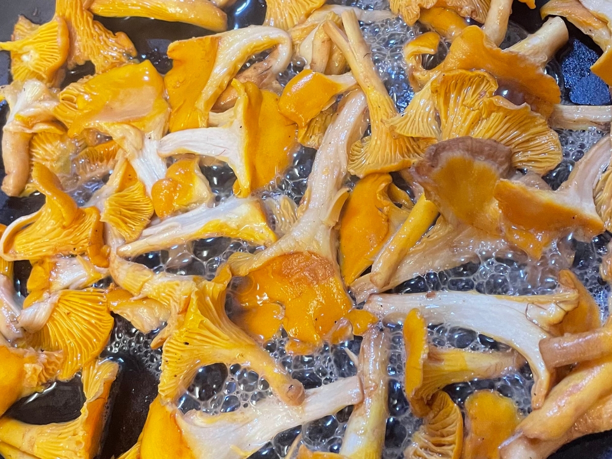 Photo of chanterelle mushrooms cooking