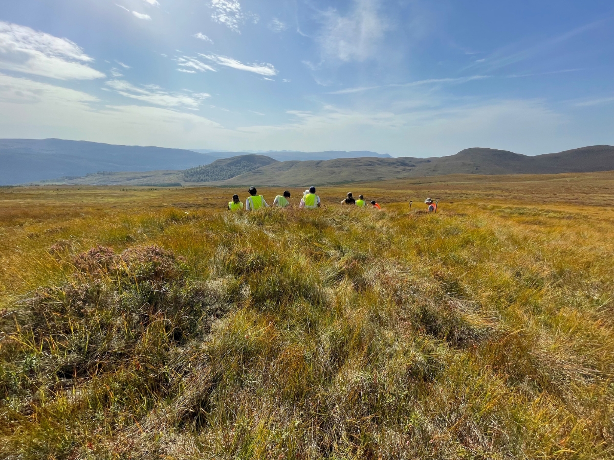 Photo of Rewilding Week volunteers sitting on open hillside