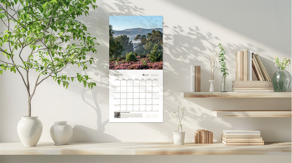 NOW IN STOCK - 2025 Scotland's Wild Forest Calendar