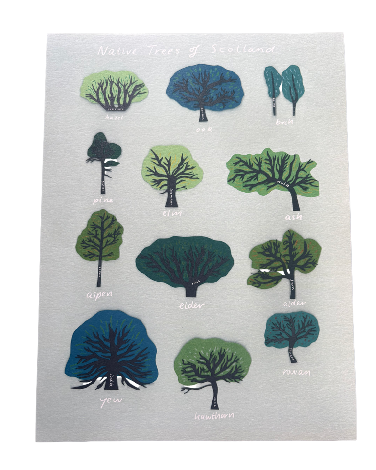 Native Trees of Scotland Print
