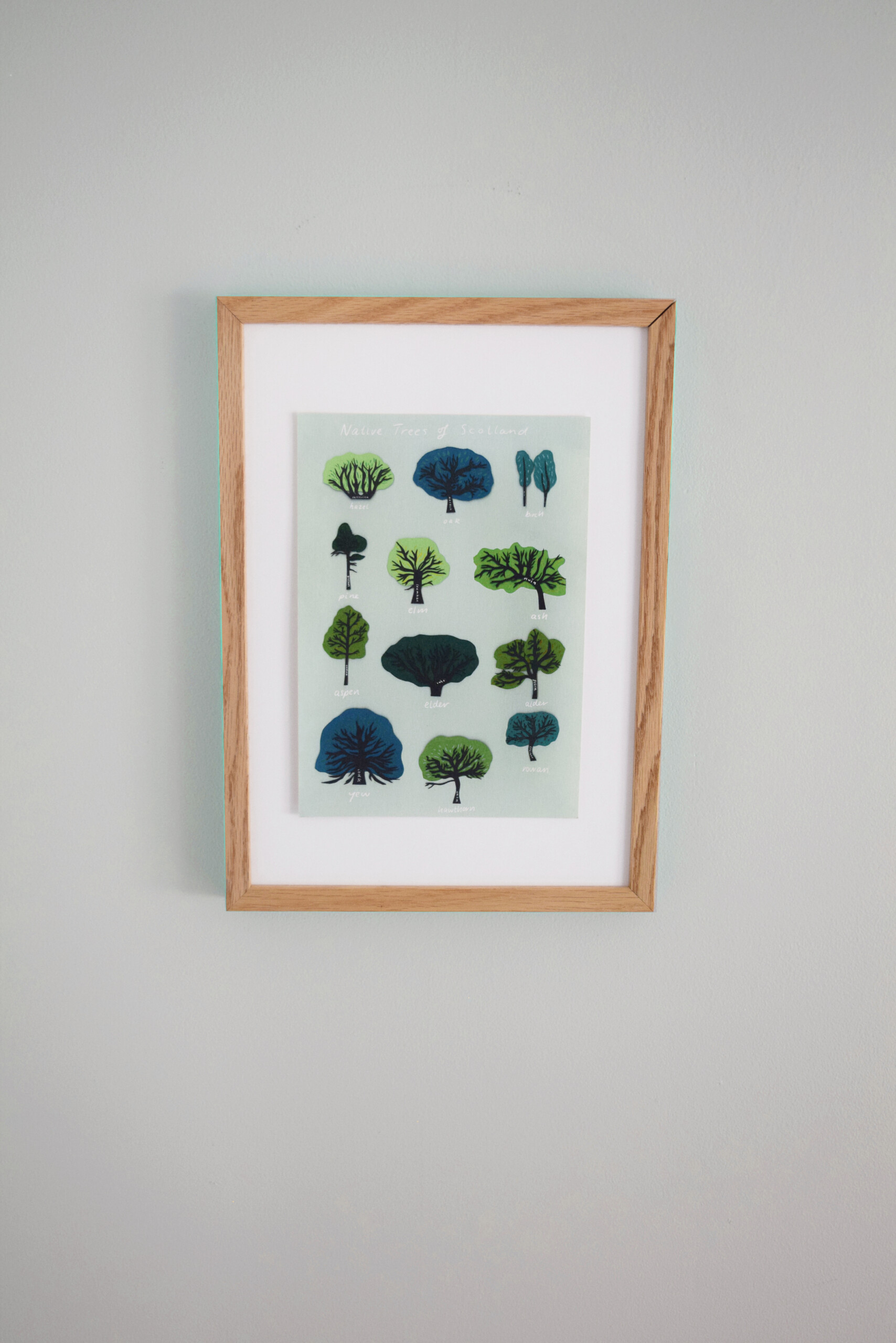 Native Trees of Scotland Print