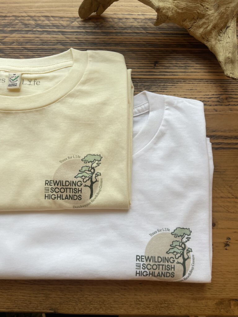 Scots pine design t-shirt organic cotton in cream and white