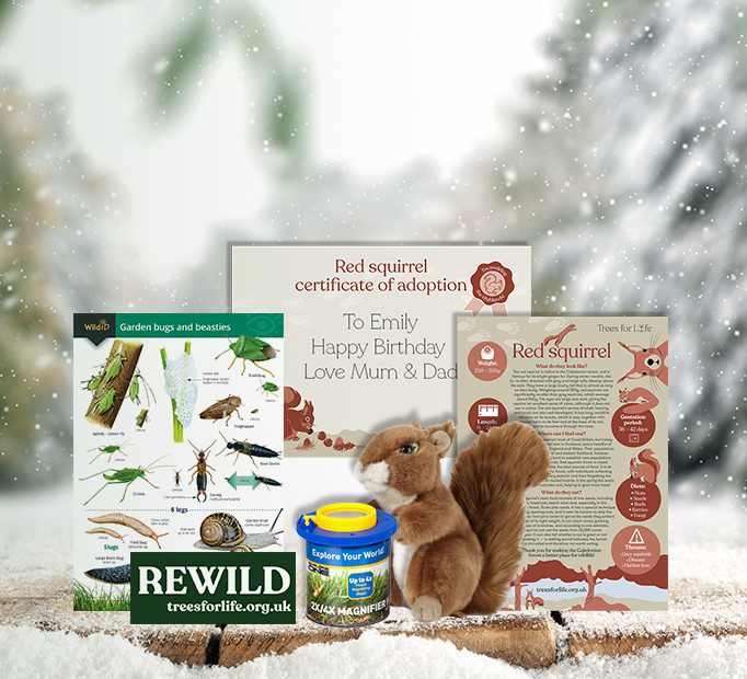 Mini Rewilders Gift Set – for Young Nature Lovers.