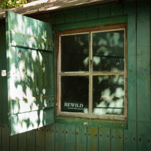 Bio-degradable window sticker