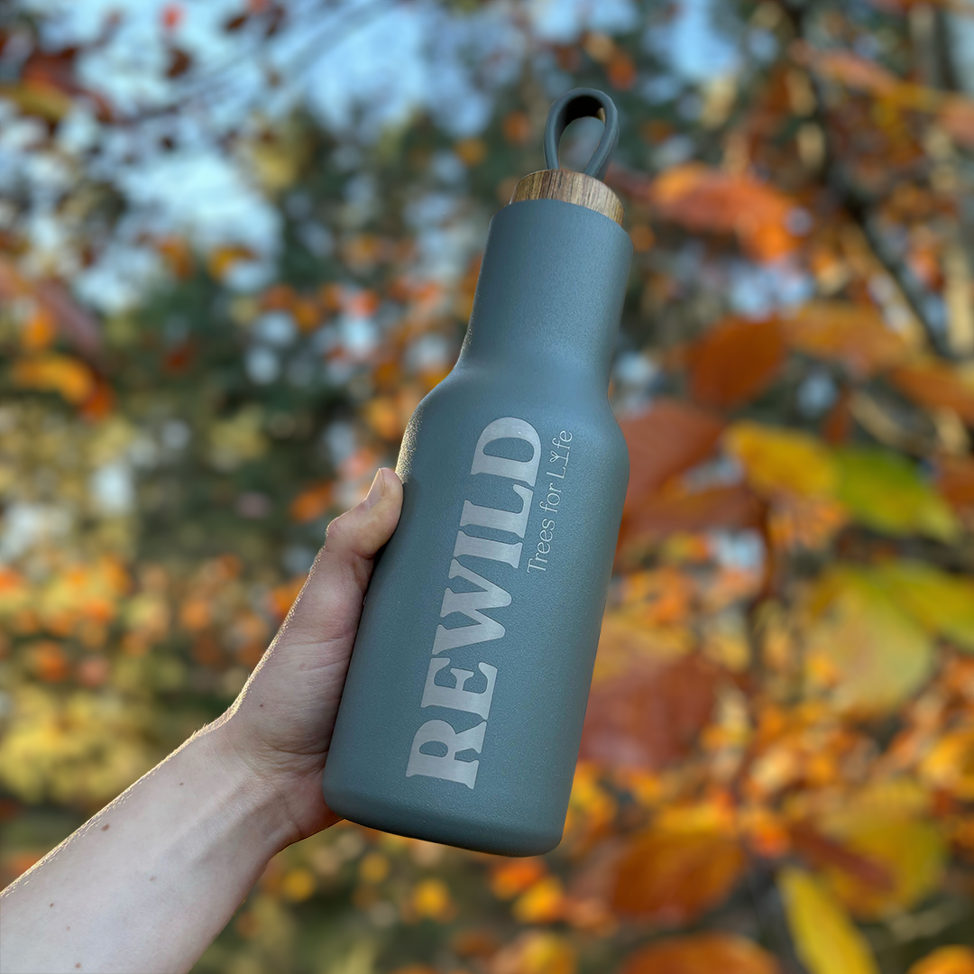 Reusable Water Bottle