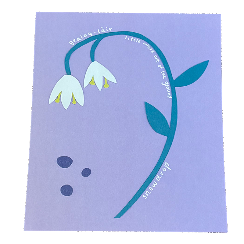 Snow Drop Print