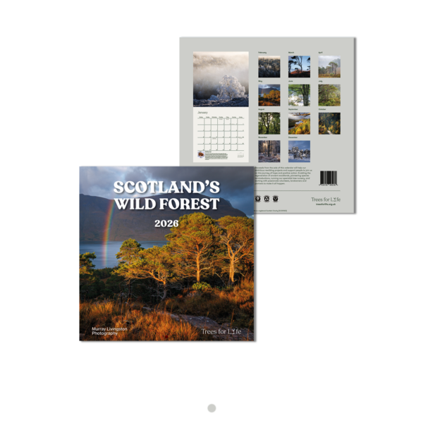 2026 Scotland's Wild Forrest Wall Calendar