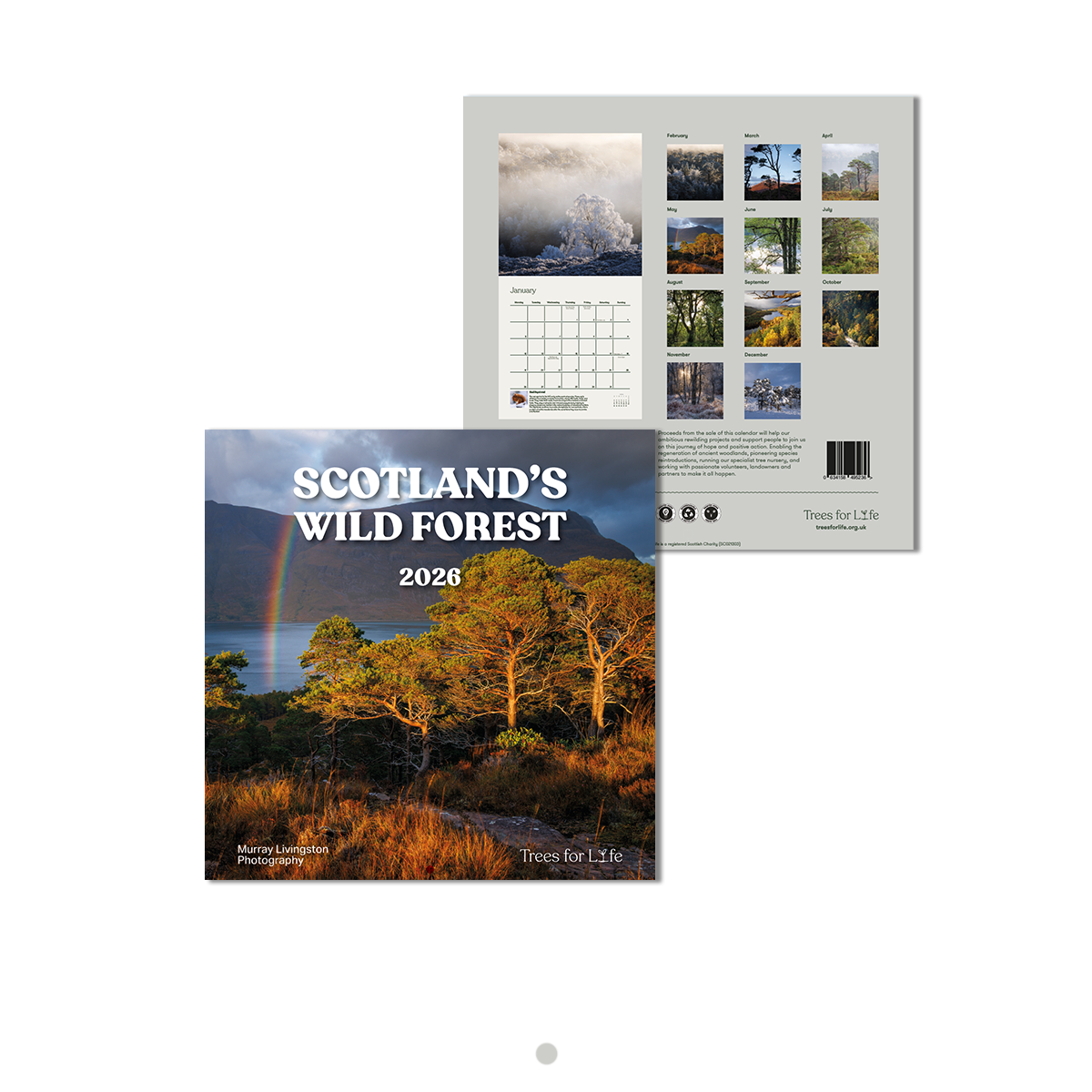 2026 Scotland's Wild Forrest Wall Calendar 2026 Scotland's Wild Forrest Wall Calendar