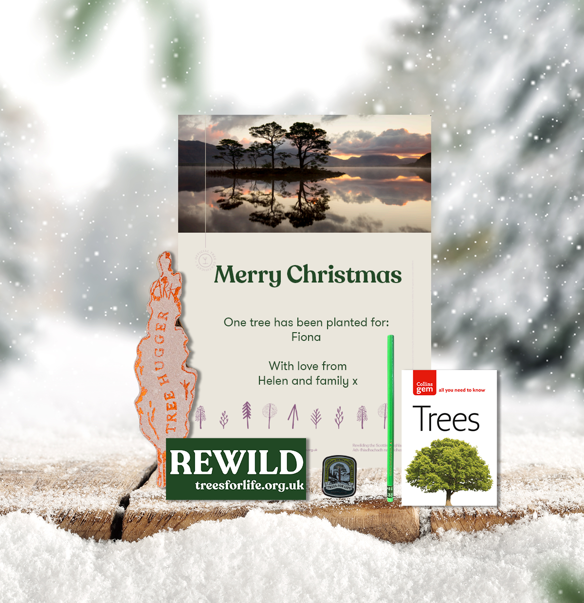 Tree Gift certificate gift set 2025