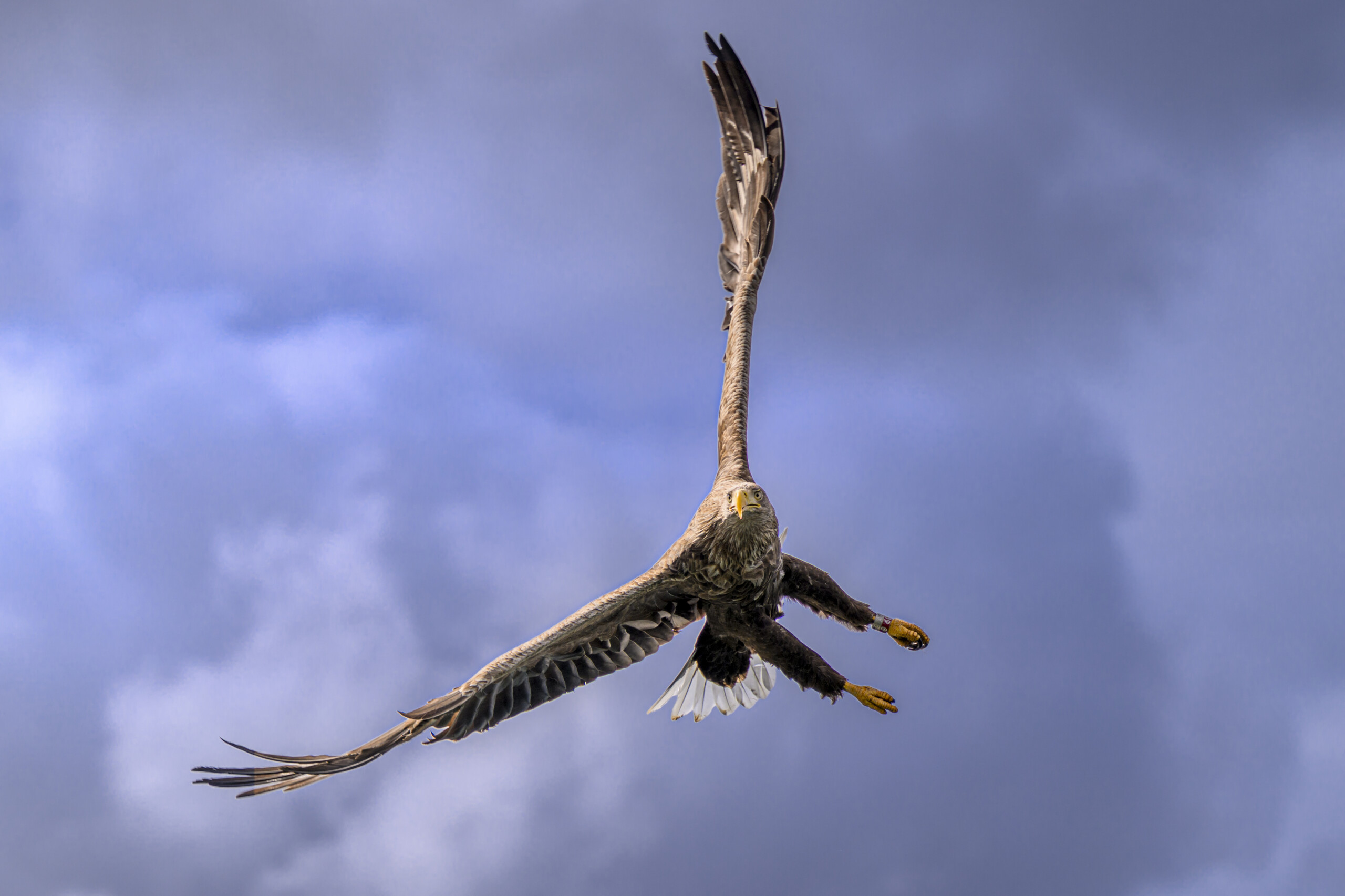 Image credit Karen Miller (7)