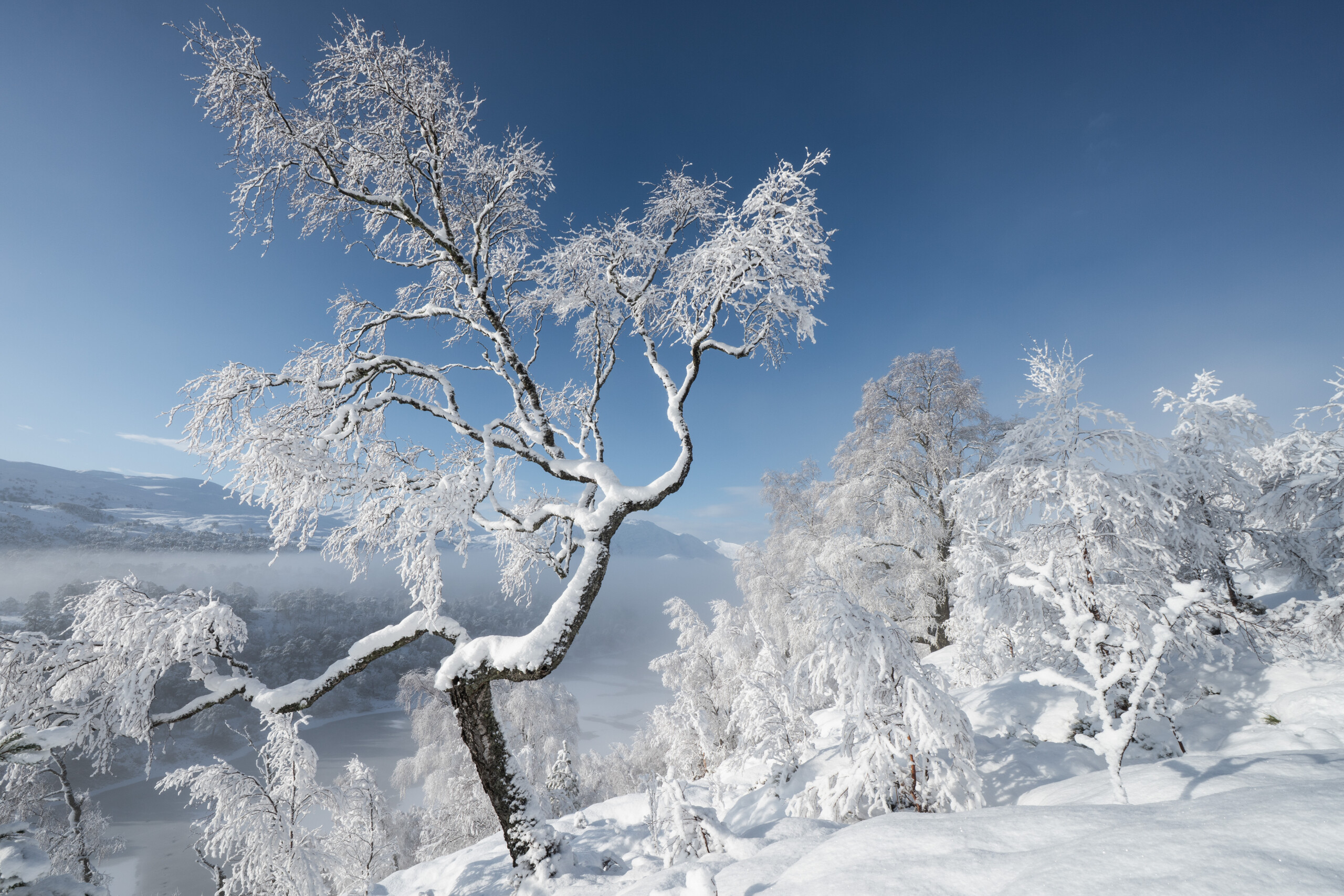 Image credit Kenny Muir (16)