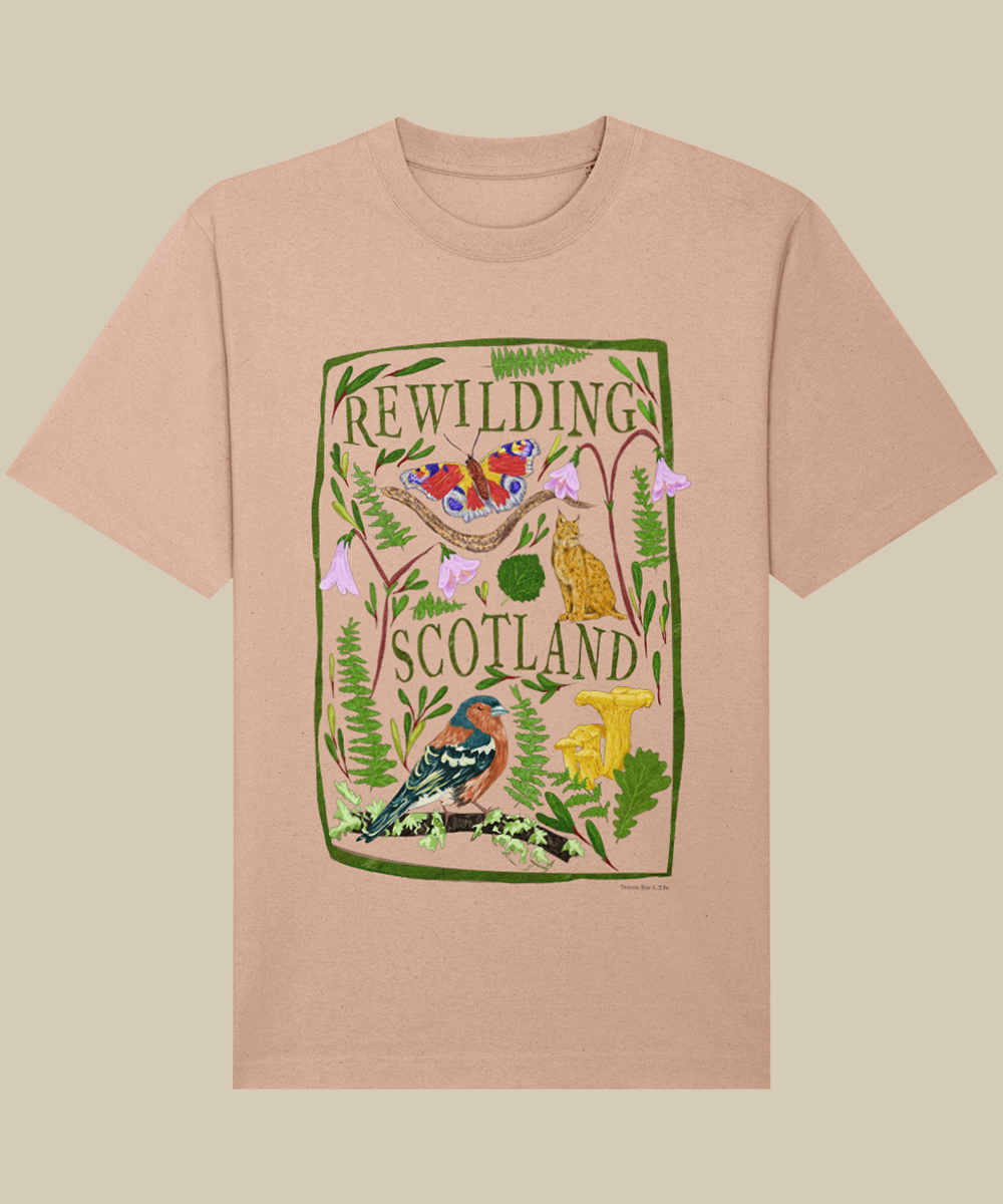 Rewilding T-shirt - Peche