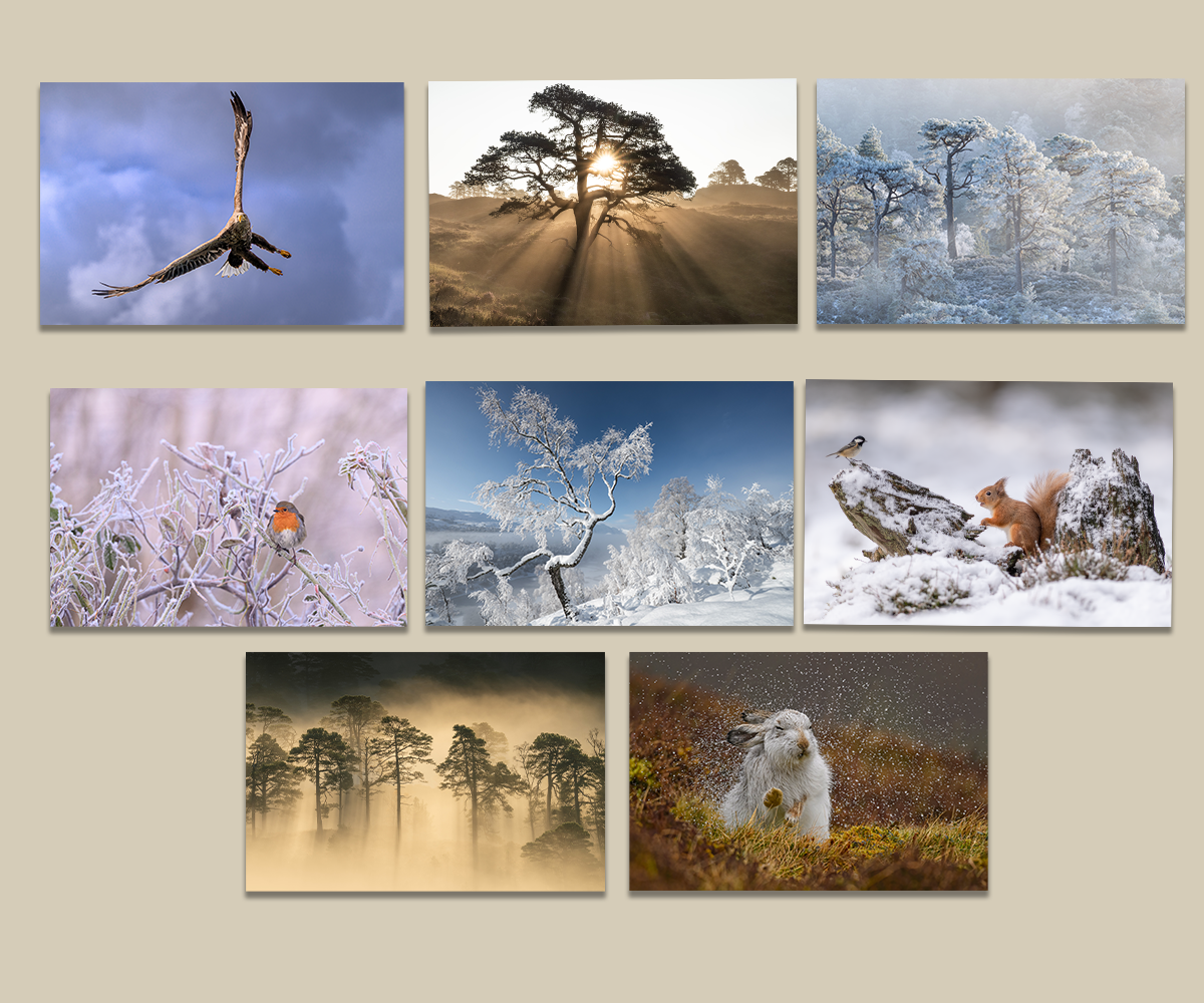 greeting cards 2025 - Karen and Kenny