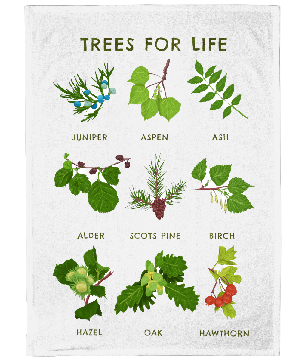 mockup-164f68540c515b3afe6cee8f82d1bffc