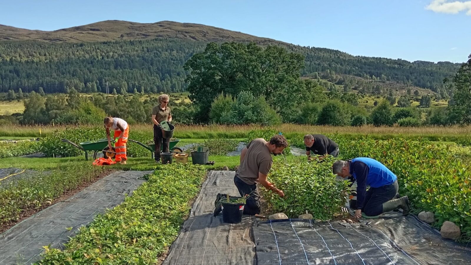 team building day at dundreggan nursery