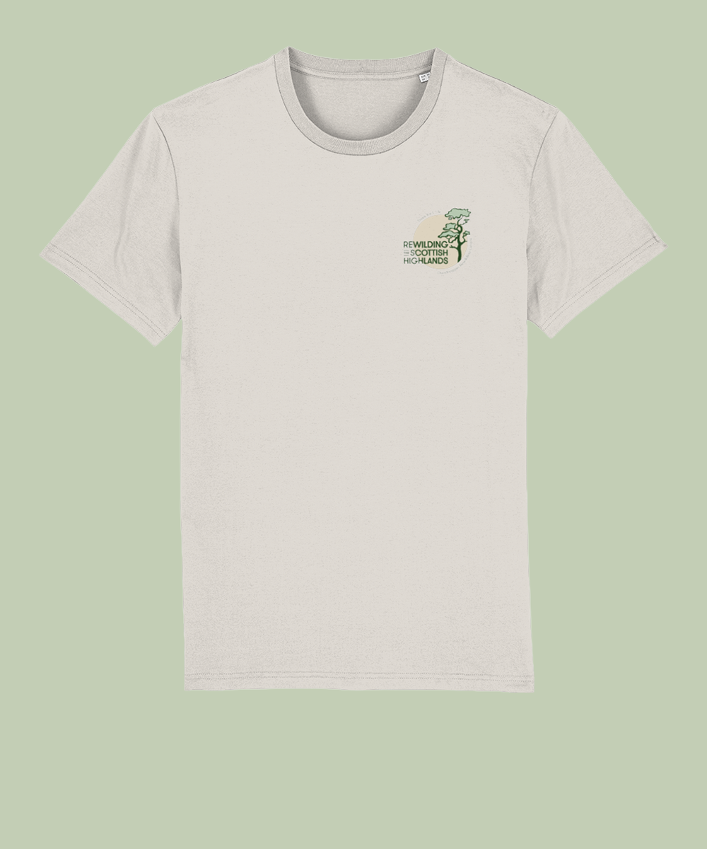 Scots pine natural raw