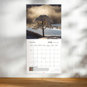 Scotland's Wild Forest Wall Calendar 2027