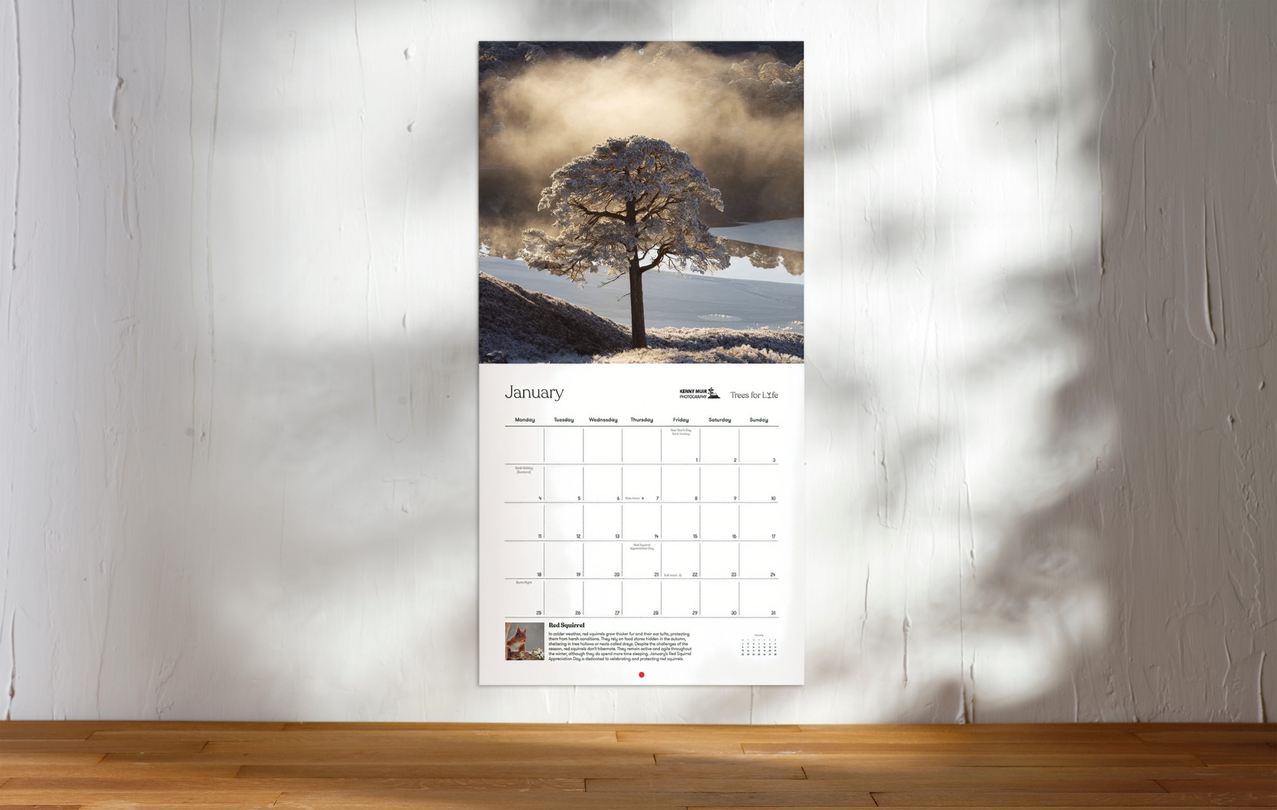 Scotland's Wild Forest Wall Calendar 2027